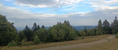 Schronisko PTTK Na Magurce ↔ Smocza Jama, odejście szlaku