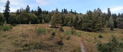 Chatka na Rogaczu ↔ Do Piotra, skrzyżowanie