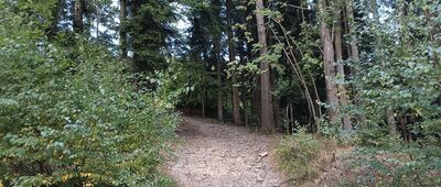 Do Piotra, skrzyżowanie