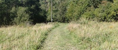 Krempna, granica parku narodowego