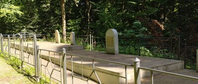 Przełęcz Hałbowska ↔ Krempna, granica parku narodowego