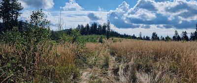 Rozejście szlaków ↔ Kowalowa [Jatki]