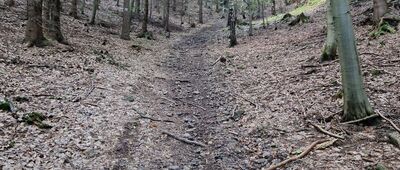 Rozejście szlaków ↔ Kowalowa [Podejście pod Jatki]