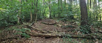 Garbatka ↔ Rozejście szlaków pod Miłoszem [Pod Garbatką]