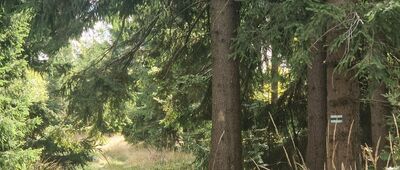 Średniak [Średniak]