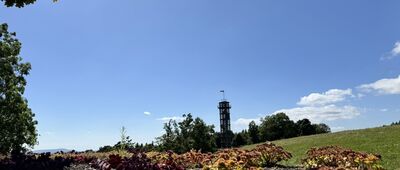 Příchovice, hřbitov ↔ Šulíkova skála, odbočka