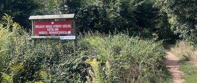 Rozdroże pod Ostrzycą ↔ Proboszczów