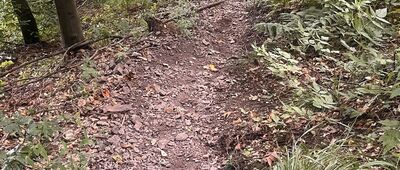 Przełęcz Kozia ↔ Borowa