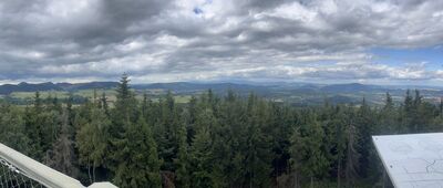 Borowa ↔ Pod Borową