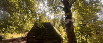 Przełęcz pod Szpiczakiem