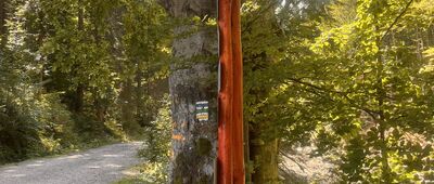 Bielice, leśniczówka