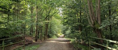 Grabka ↔ Rozejście szlaków