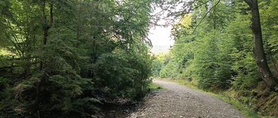 Rozejście szlaków ↔ Rozejście szlaków