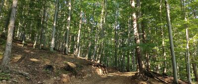 Rozejście szlaków ↔ Odejście do chaty drwali