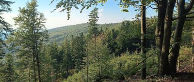 Rozejście szlaków ↔ Chaty drwali