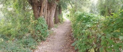 Prace Duże ↔ Tarczyn