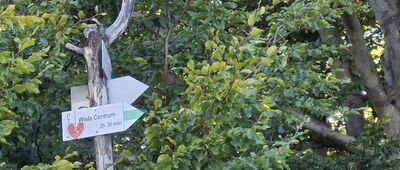 Soszów Wielki [Soszów Wielki]