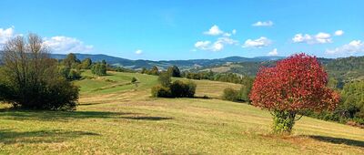 Čadca, rázc. ↔ Kýčera