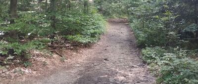 Skrzyżowanie na Luboniu [Trasa z Lubonia czerwonym]