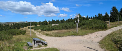 Růženčina zahrádka