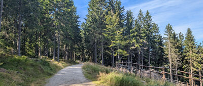 U Janovy skály ↔ Studenov, rozc.