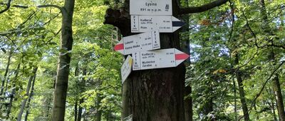 Łysina [Łysina - oznaczenia szlaków z czasami]