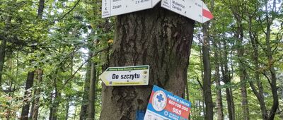 Łysina [Łysina - oznaczenia szlaków z czasami]