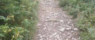 Lubomir ↔ Lipnik, Majdówka [Zielonym szlakiem z Lubomira]