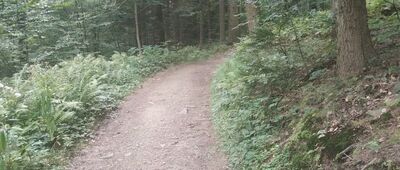 Lubomir ↔ Lipnik, Majdówka [Zielony szlak na Lipnik]