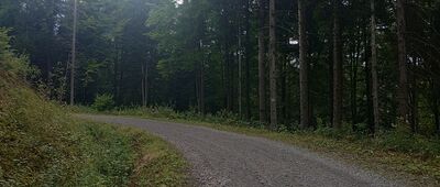 Lipnik, Majdówka ↔ Przełęcz Sucha [Czarnym szlakiem na Kudłacze]