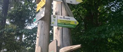 Przełęcz Sucha [Sucha polana - oznaczenia szlaków z czasami]