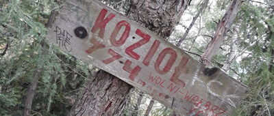 Przełęcz Kozia, rozejście szlaków ↔ Wołowiec