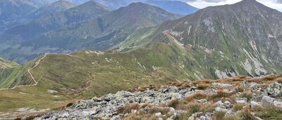 Starorobociański Wierch