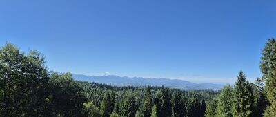 Nowy Targ, Oleksówki ↔ Bukowina Waksmundzka