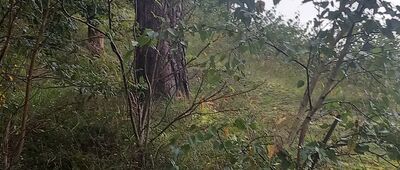 Piławki, rozejście szlaków