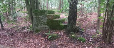 Czarny Róg ↔ Liwa