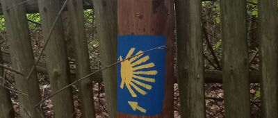 Czarny Róg ↔ Piławki, rozejście szlaków