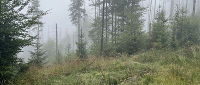 Skrzyżowanie pod Smerkowicą ↔ Nad Przełęczą Beskidek