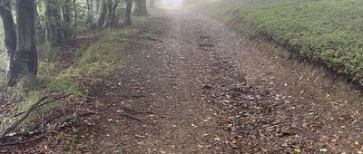 Nad Przełęczą Beskidek ↔ Leskowiec