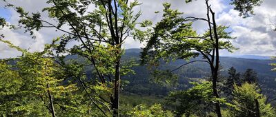 Przełęcz Jawornicka