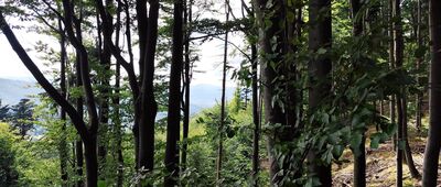 Przełęcz Jawornicka