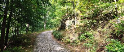 Skalisko, parking ↔ Przełęcz Jawornicka