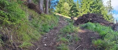 Nad Štvanicí ↔ Pevnůstky pod Štvanicí