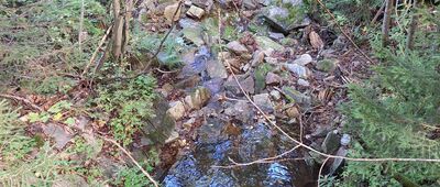 Nad Štvanicí ↔ Stará Sněžníková