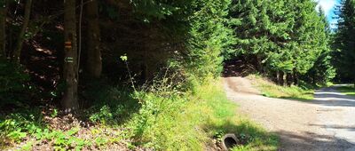 Stará Sněžníková