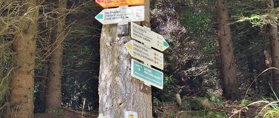 Stará Sněžníková