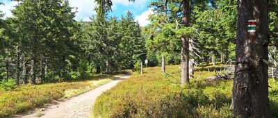 Stříbrnická, sedlo