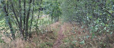 U Kapličky ↔ Stříbrnice