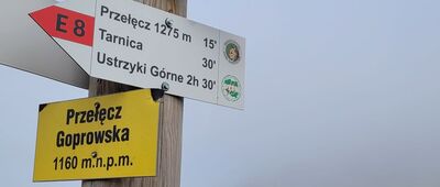 Przełęcz Goprowska