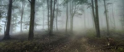 Jezioro w dolinie Wapienicy ↔ Pod Szyndzielnią